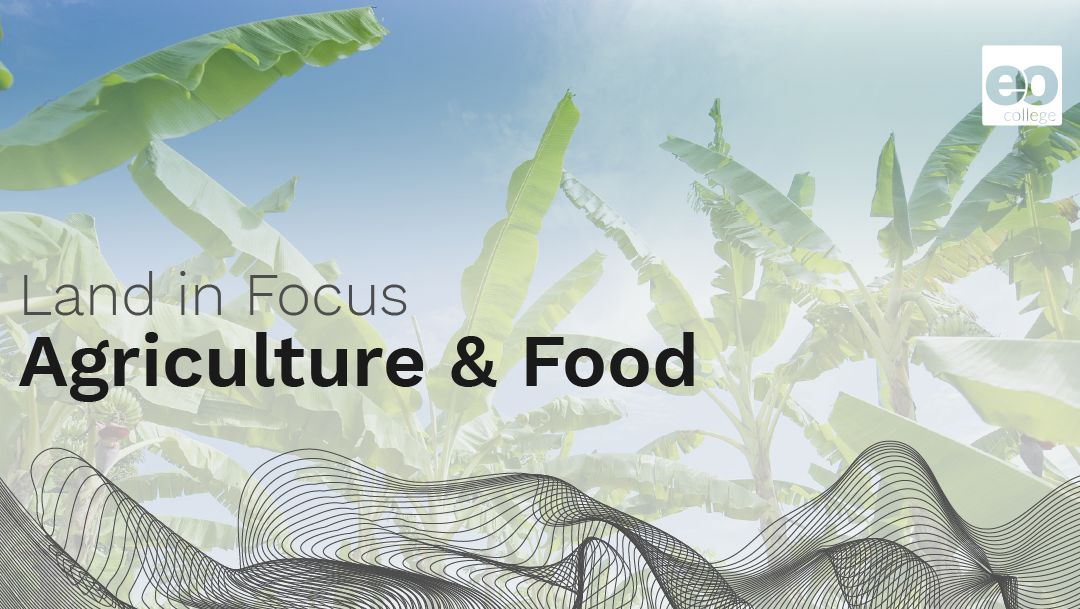 Land in Focus – Agriculture & Food