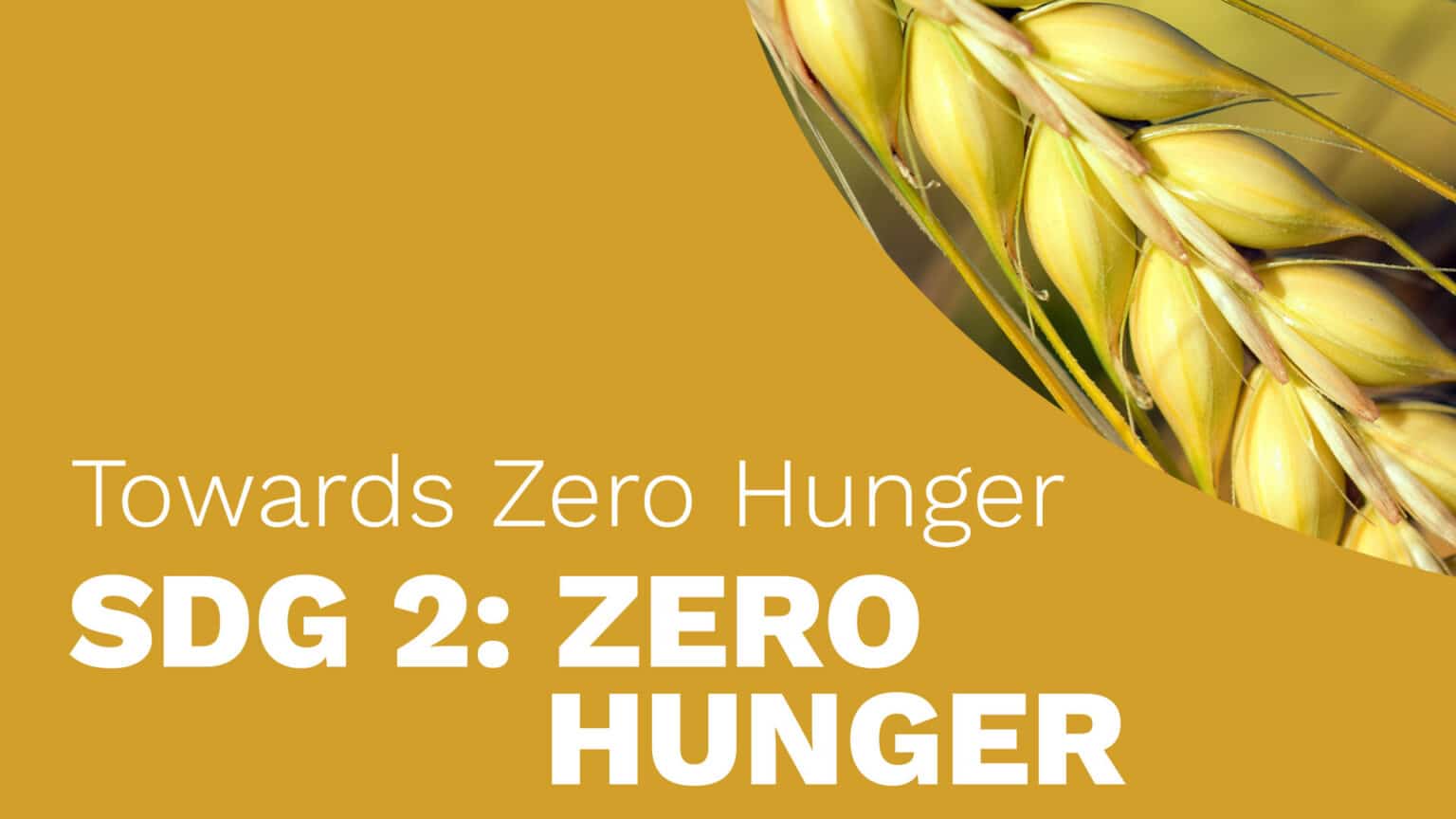Towards zero hunger sdg 2 zero hunger eo college