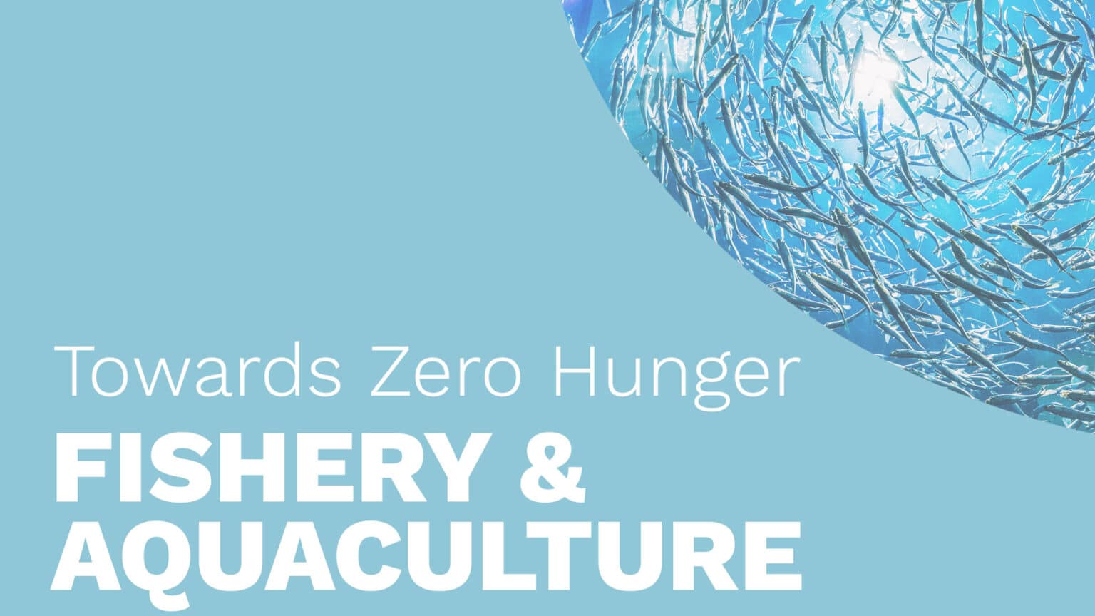 Towards Zero Hunger – Food Security – EO College