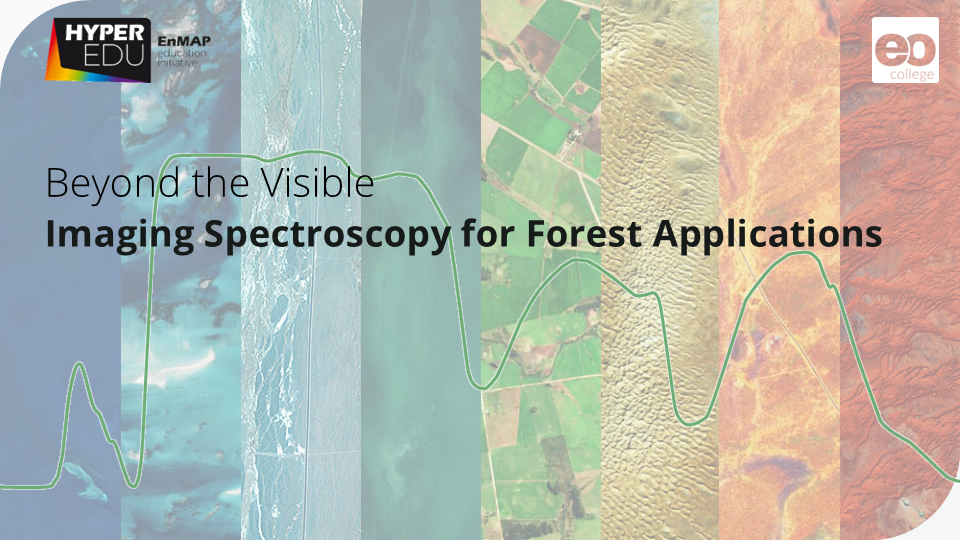 Beyond the Visible – Imaging Spectroscopy for Forest Applications