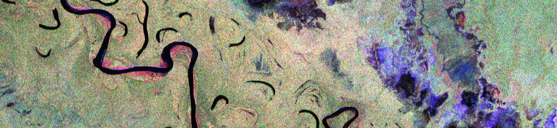 From Carbon Cycle to Satellite Products – The ESA BIOMASS Mission