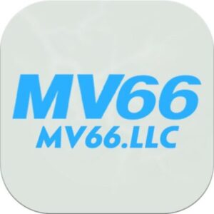 Profile photo of MV66 LLC