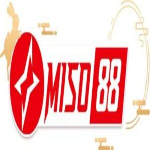 Profile photo of miso88 diy
