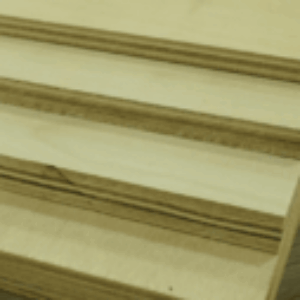 Profile photo of Kalie Nguyen