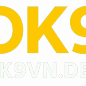 Profile photo of ok9vndev ok9vndev