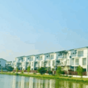 Profile photo of Belhomes Hải Phòng