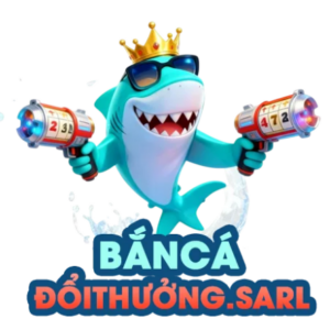 Profile photo of Bancadoithuong sarl