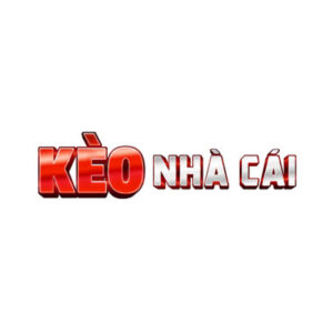 Profile photo of CEO Mai Anh Tai