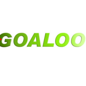 Profile photo of goaloo work
