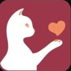 Profile photo of バイ ブ