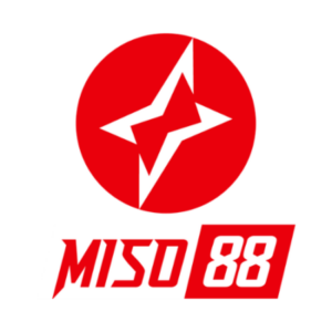 Profile photo of miso88 fashion