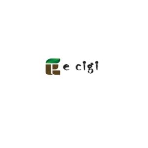 Profile photo of E cigi bolt