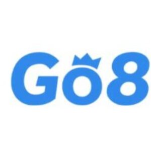 Profile photo of CEO David Trần GO8