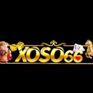 Profile photo of Xoso66 Christmas