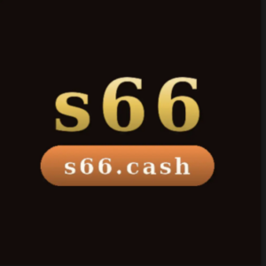 Profile photo of S66 Việt Nam